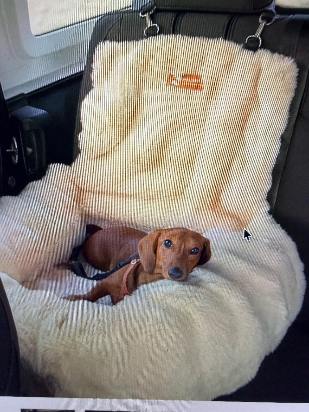 NWT Pelsbarn Luxurious Cozy Car Bed - XS